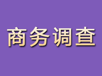 永登商务调查